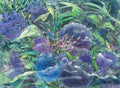 Blossoms in Bloom – Texture of Sunlight I