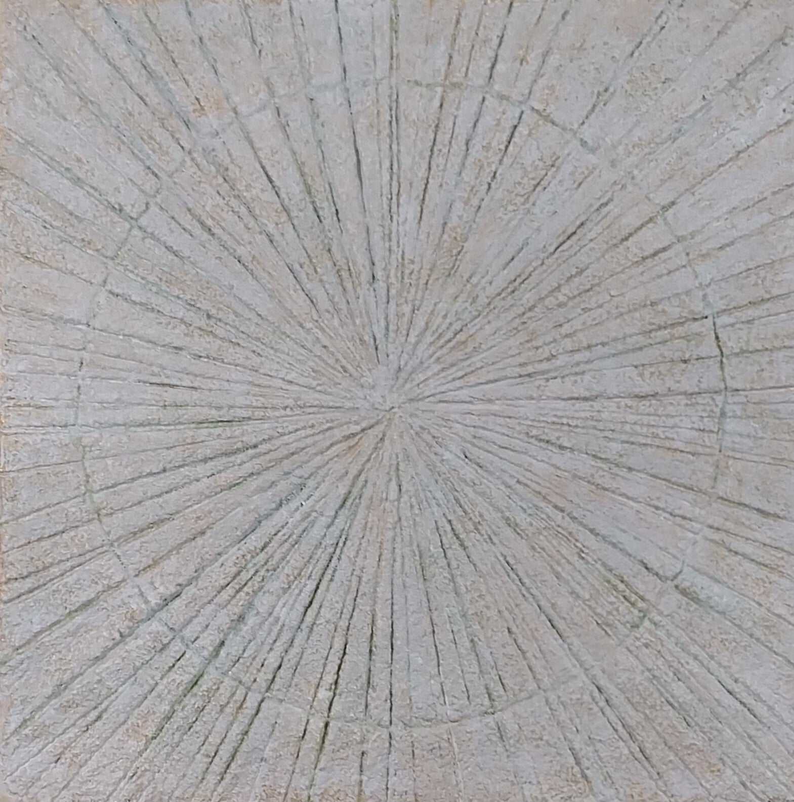 Gaze - Human, Nature, Society No.5
