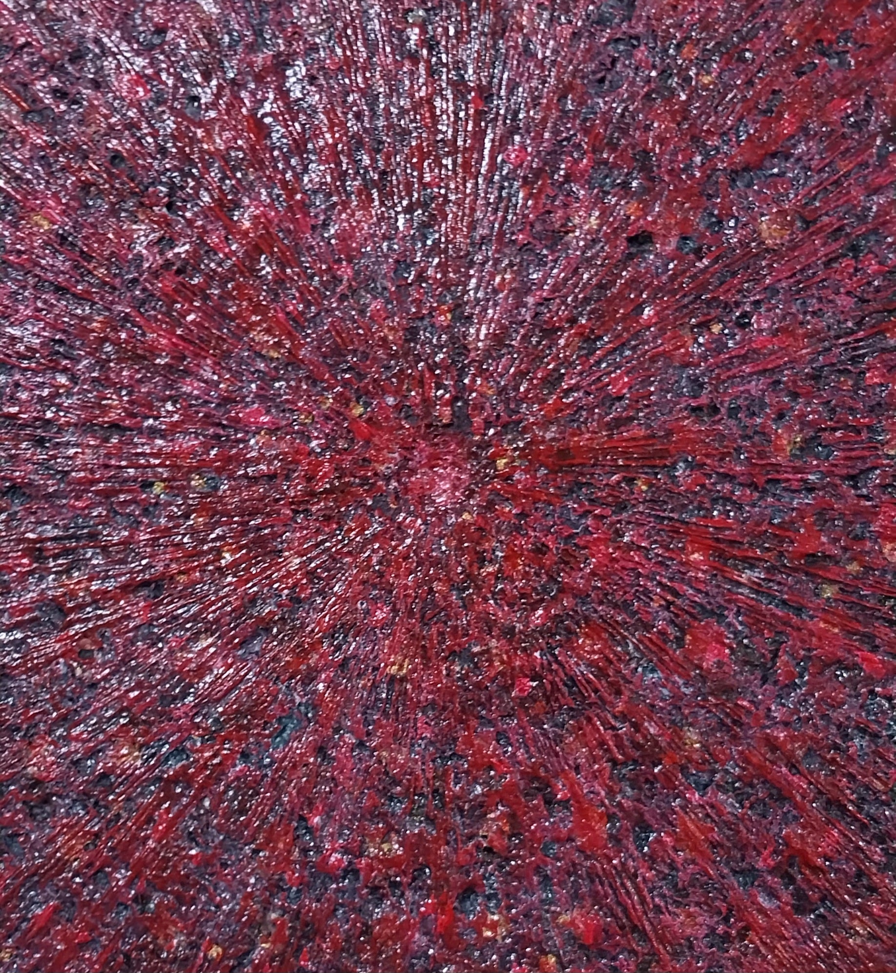 Gaze - Human, Nature, Society No.11