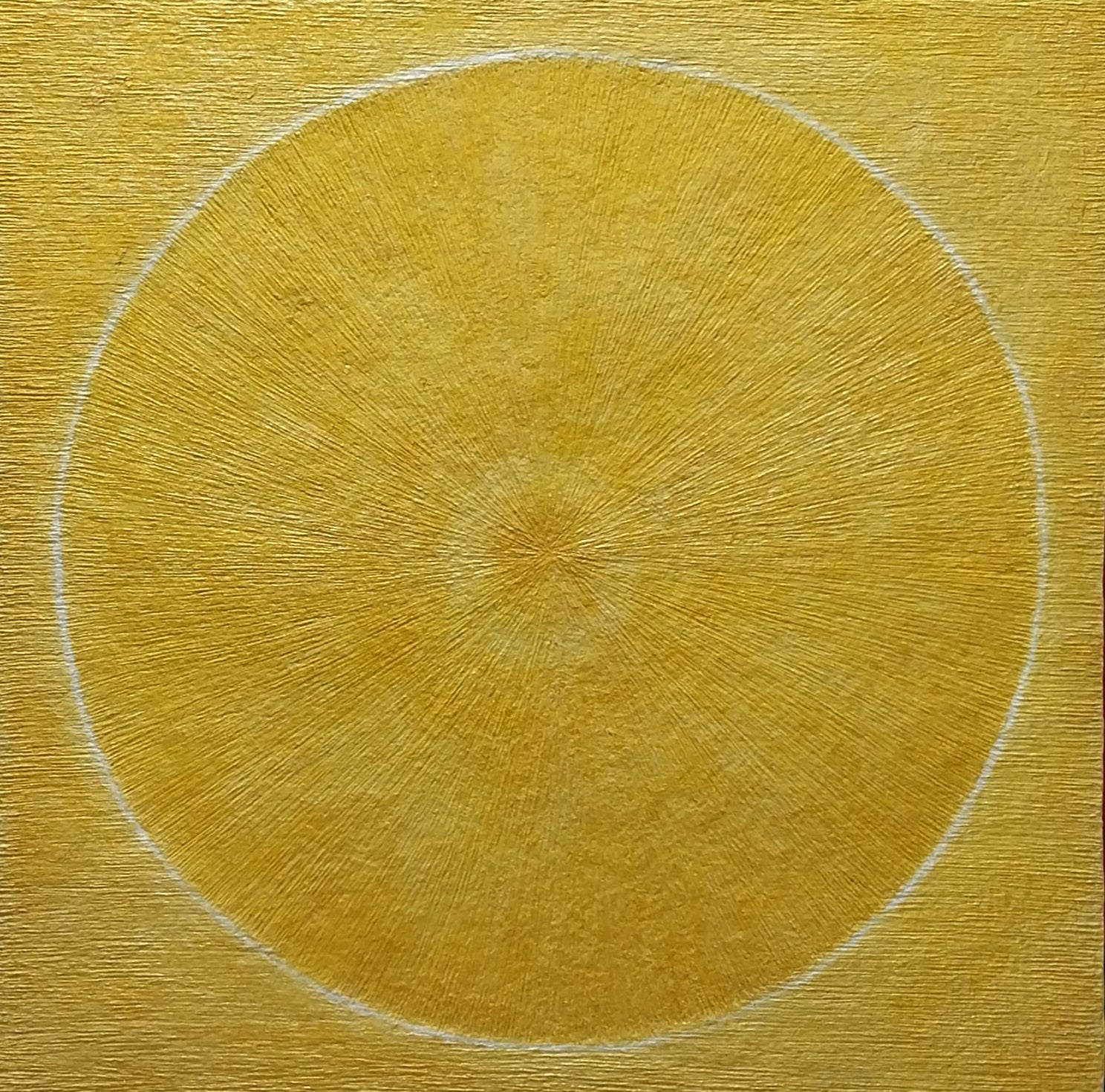 Gaze - Human, Nature, Society No.12