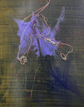 Drawing a line in Universe - No,3